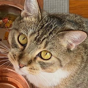 Meet your Posher, Carol